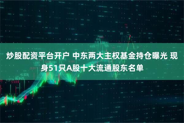 炒股配资平台开户 中东两大主权基金持仓曝光 现身51只A股十大流通股东名单