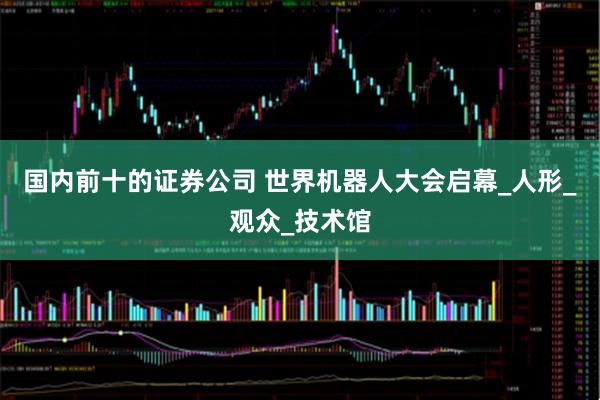 国内前十的证券公司 世界机器人大会启幕_人形_观众_技术馆