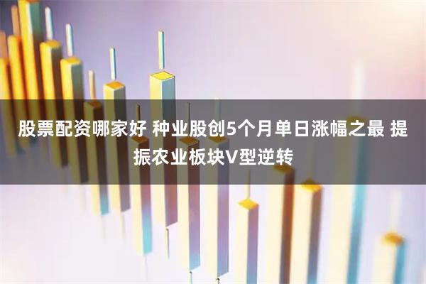 股票配资哪家好 种业股创5个月单日涨幅之最 提振农业板块V型逆转